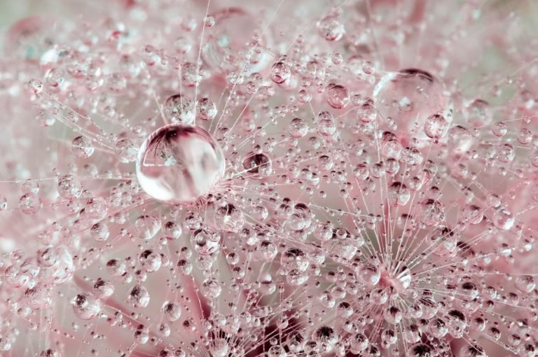 Organic Intimate Lubricant: How to Read the Label Like a Pro