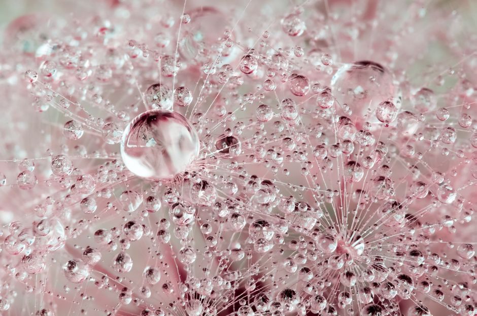 Texture et douceur