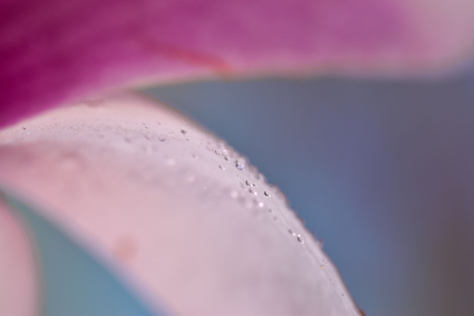 Texture et douceur